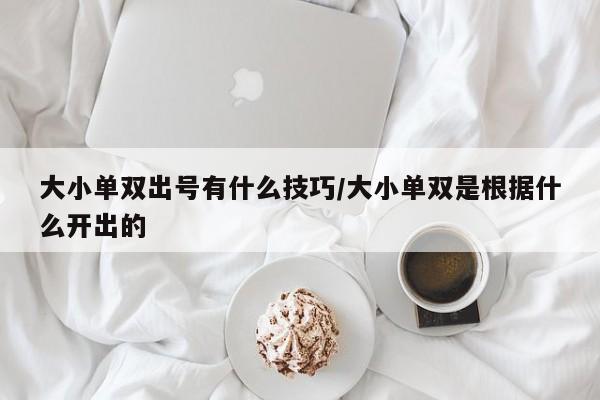 大小单双出号有什么技巧/大小单双是根据什么开出的