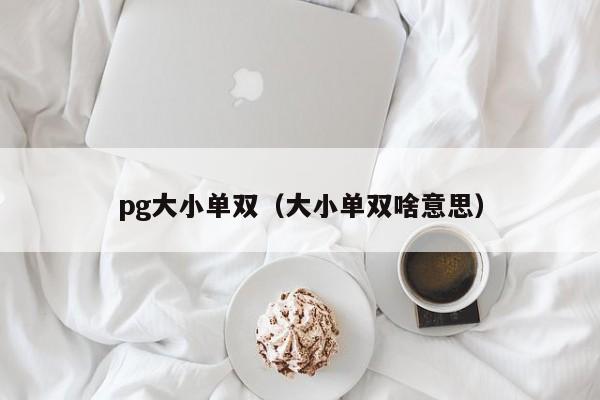 pg大小单双(大小单双啥意思)
